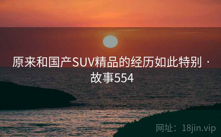 原来和国产SUV精品的经历如此特别 · 故事554  第1张