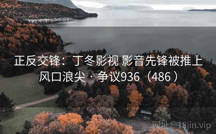 正反交锋：丁冬影视 影音先锋被推上风口浪尖 · 争议936（486 ）